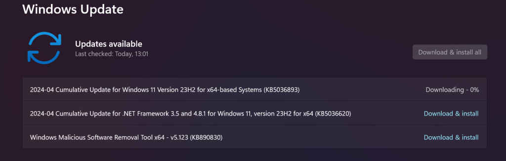 Windows Update on Windows 11 High-End Laptop