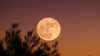 Wolf Moon supermoon 2026: Date, India timings, visibility, best camera phones to capture it and more
