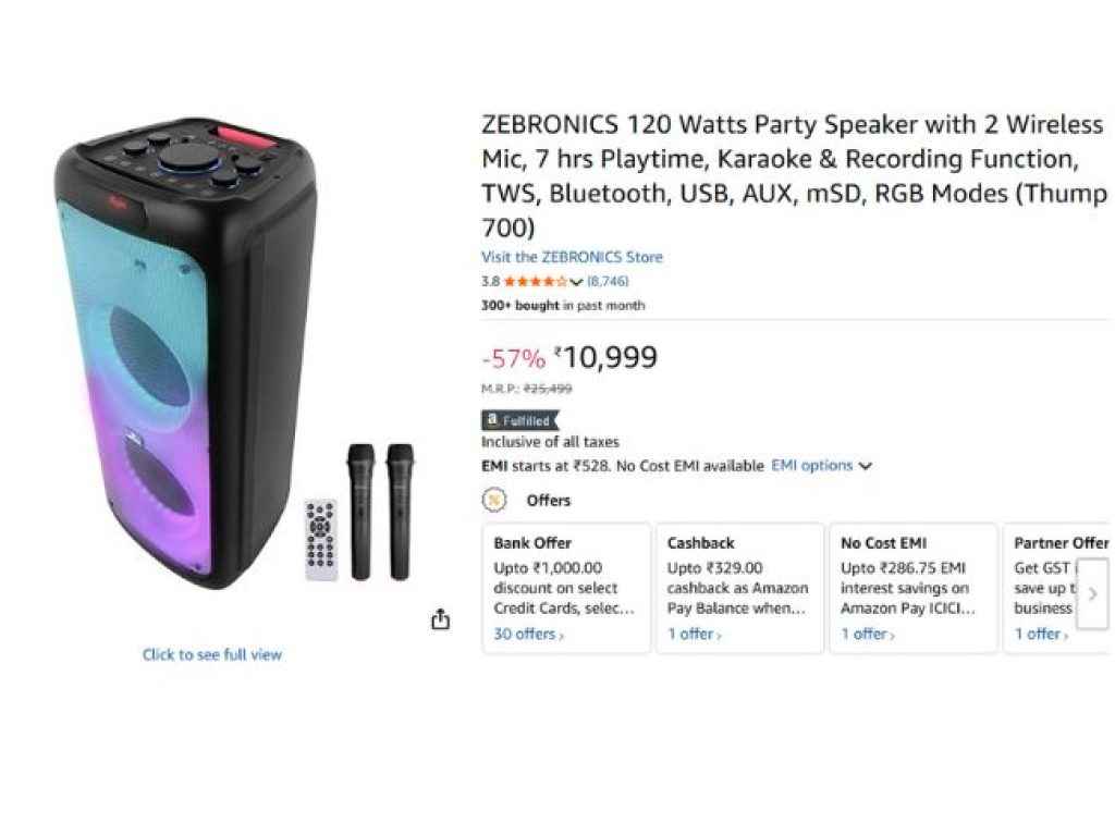 Zebronic party speaker