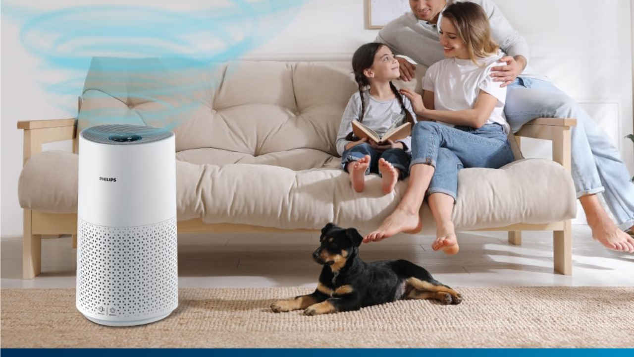 Best Air Purifiers in November 2024