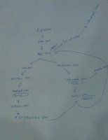 IMAG0165-new.jpg