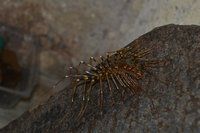 DSC_1927.jpg