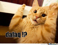 dafaq-kitten_o_154657.jpg dafaq-kitten_o_154657.jpg