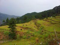 20120629_161824.jpg