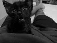20120812_174749.jpg