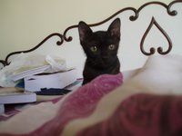 P1010027.jpg
