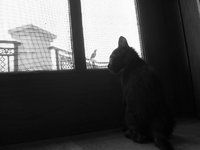 P1010044.JPG