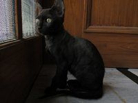 IMG_0578.JPG