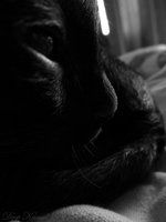 IMG_0721.JPG