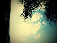 C360_2012-11-12-00-09-08.jpg