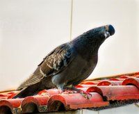 IMG_0046.jpg
