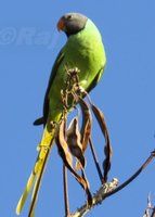 IMG_0354.jpg