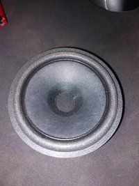 20220328_135259.jpg