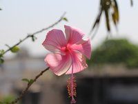 IMG_0447-small.jpg