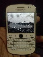 CAM00037.jpg