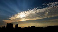IMG_07142.jpg