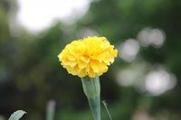 IMG_0057.jpg
