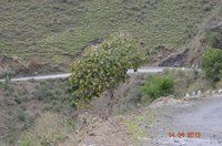 DSC_0055.jpg