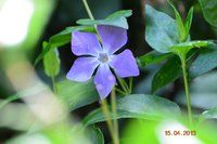 DSC_0132.jpg