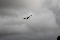 IMG_4190.jpg