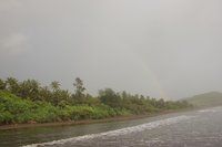 IMG_4377.jpg