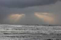 IMG_4423.jpg