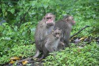 IMG_4631.jpg