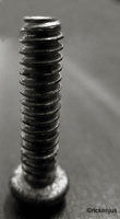 10813614815_47b25804b6_z.jpg