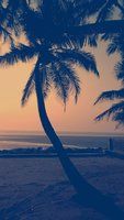 Thumba_2013-11-02_18-45-26.jpg