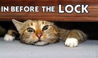 2669066-inbeforethelock.jpg