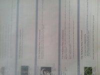 uploadfromtaptalk1398052509897.jpg