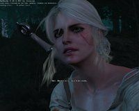 witcher3 2015-05-22 13-56-23-16.jpg
