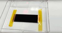 vantablack2.jpg