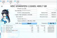 WD.JPG