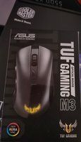 MOUSE.jpeg