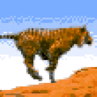 pantheratigris