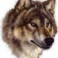 WolVish