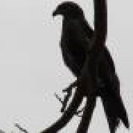 skr