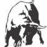 Running_bull