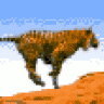 pantheratigris