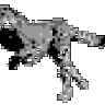 cooljeba