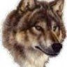 WolVish