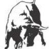 Running_bull