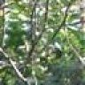arun_0710
