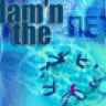 damnthenet