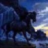 deepak_m