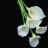 dharmendra_mistry123