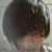 Chetan1991
