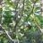 arun_0710
