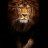 VIRAL RATHOD